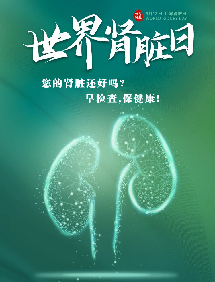 糖腎醫(yī)生敲黑板：早查早護(hù)，別讓“沉默的濾網(wǎng)”悄悄罷工！